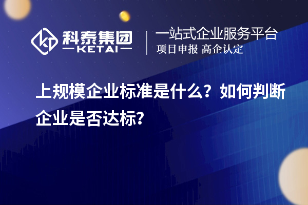 上规模企业标准是什么?如何判断企业是否达标?