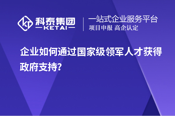企业如何通过国家级领军人才获得政府支持?
