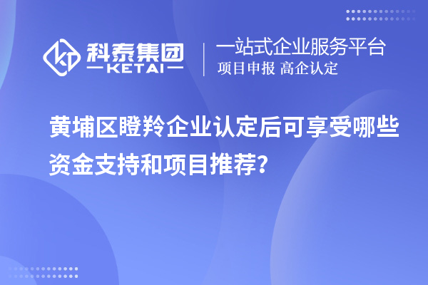 黄埔区<a href=//jiuyouhuitech.com/fuwu/dengling.html target=_blank class=infotextkey>瞪羚企业认定</a>后可享受哪些资金支持和项目推荐?