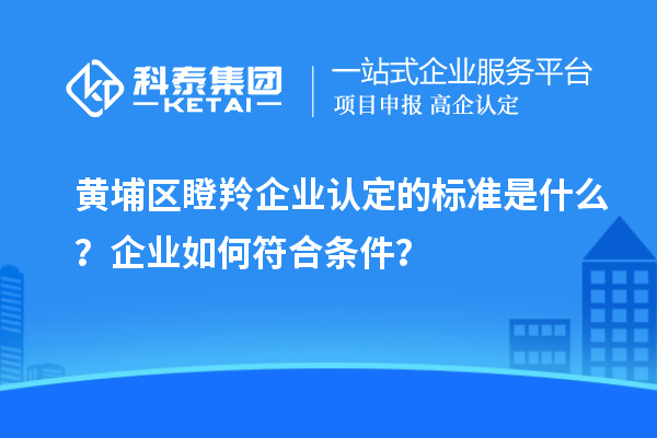 黄埔区<a href=//jiuyouhuitech.com/fuwu/dengling.html target=_blank class=infotextkey>瞪羚企业认定</a>的标准是什么?企业如何符合条件?