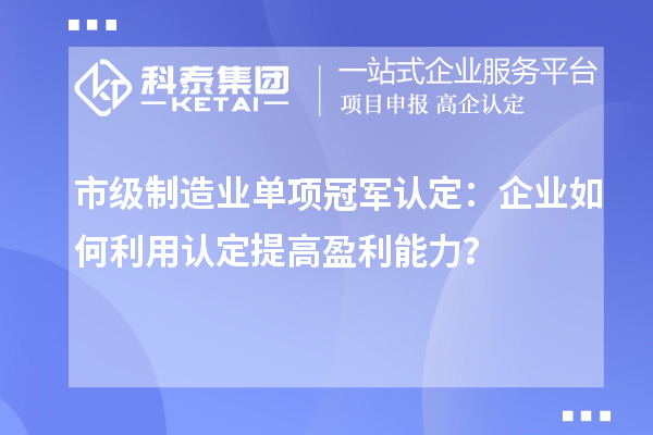 市级制造业单项冠军认定:企业如何利用认定提高盈利能力?