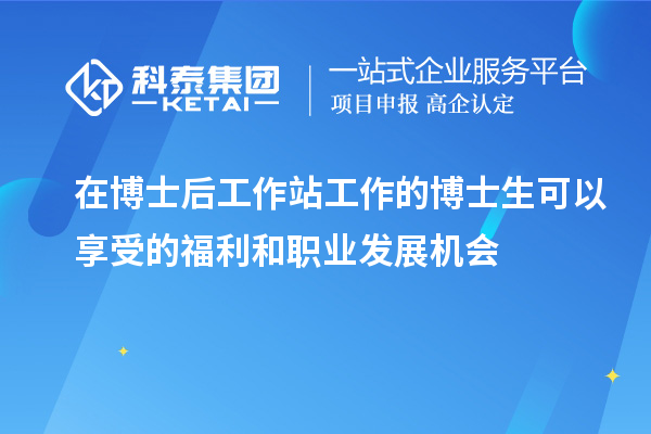 在博士后工作站工作的博士生可以享受的福利和职业发展机会