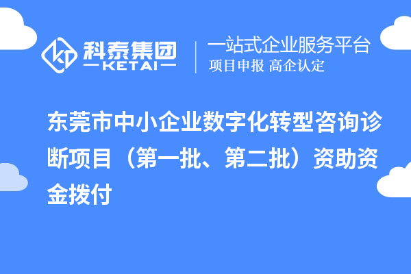 东莞市中小企业数字化转型咨询诊断项目(第一批、第二批)资助资金拨付