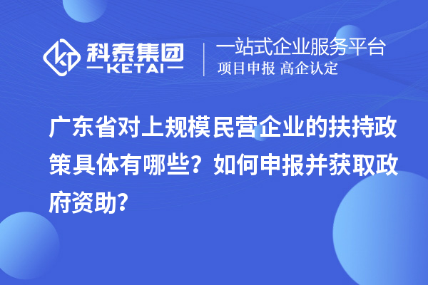广东省对上规模民营企业的扶持政策具体有哪些?如何申报并获取政府资助?