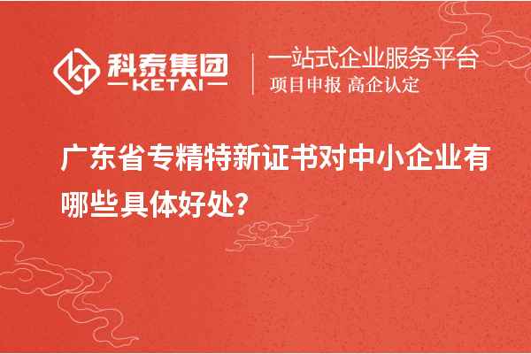 广东省专精特新证书对中小企业有哪些具体好处?