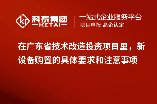 在广东省技术改造投资项目里,新设备购置的具体要求和注意事项