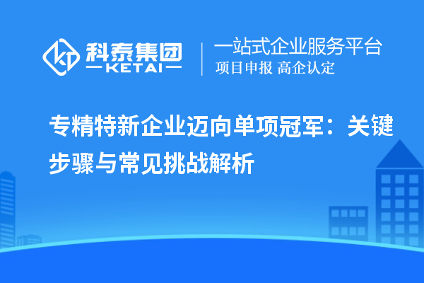 专精特新企业迈向单项冠军:关键步骤与常见挑战解析