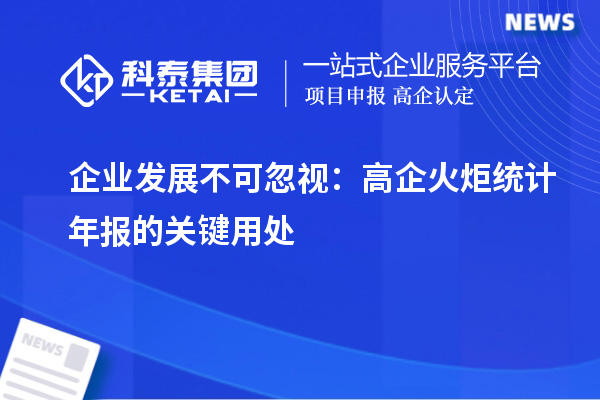 企业发展不可忽视:高企火炬统计年报的关键用处