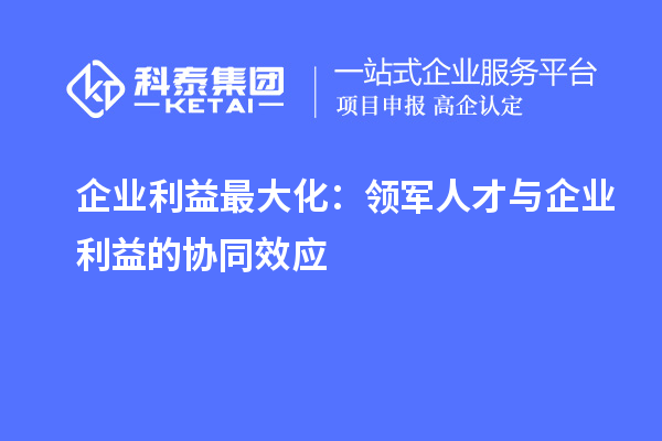 企业利益最大化:领军人才与企业利益的协同效应