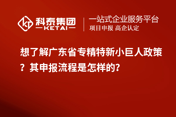 想了解广东省专精特新小巨人政策？其申报流程是怎样的？
