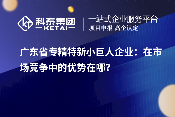 广东省专精特新小巨人企业:在市场竞争中的优势在哪?