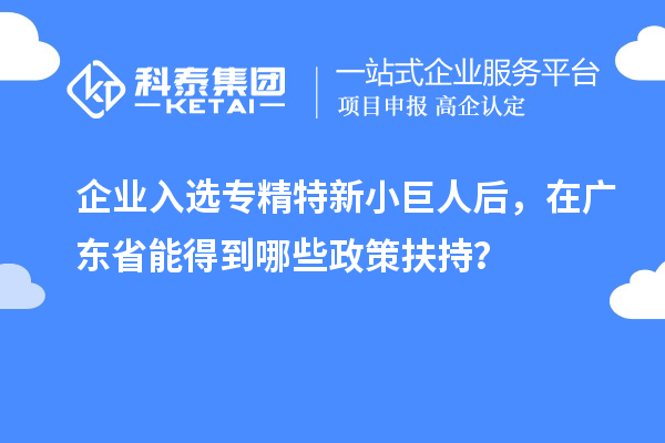 企业入选专精特新小巨人后,在广东省能得到哪些政策扶持?