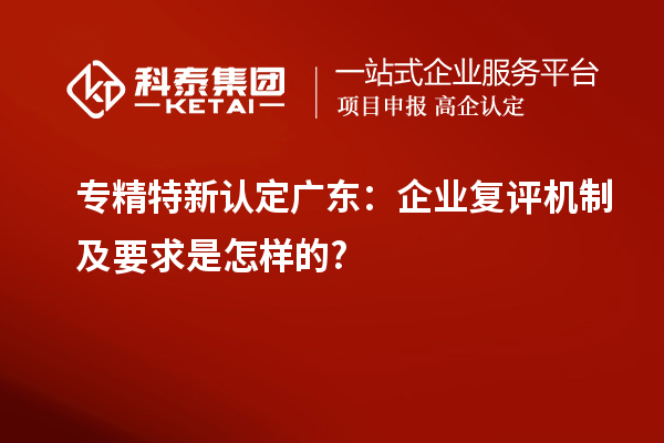 专精特新认定广东:企业复评机制及要求是怎样的?