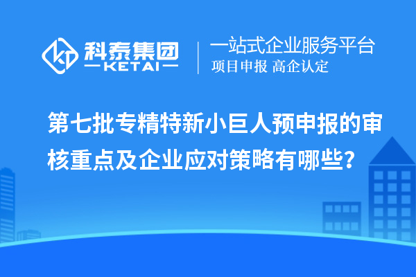 第七批专精特新小巨人预申报的审核重点及企业应对策略有哪些?