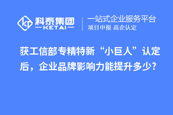 获工信部专精特新 “小巨人” 认定后,企业品牌影响力能提升多少?