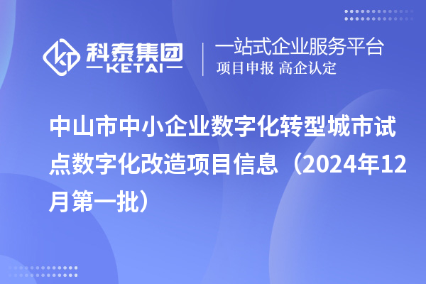 中山市中小企业数字化转型城市试点数字化改造项目信息(2024年12月第一批)