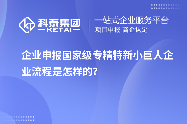 企业申报国家级专精特新小巨人企业流程是怎样的?