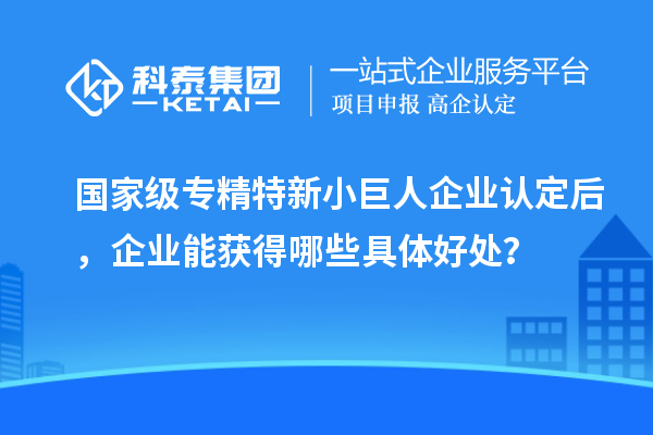 国家级专精特新小巨人企业认定后,企业能获得哪些具体好处?