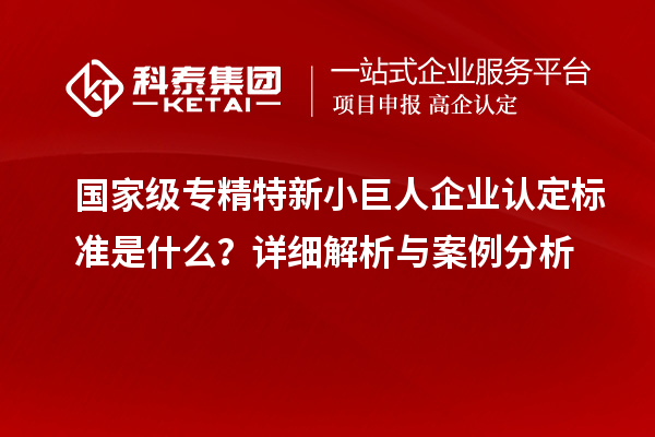 国家级专精特新小巨人企业认定标准是什么?详细解析与案例分析