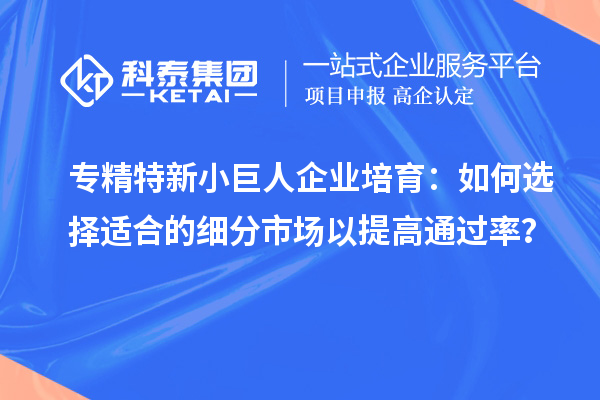 专精特新小巨人企业培育:如何选择适合的细分市场以提高通过率?