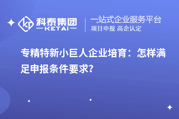 专精特新小巨人企业培育:怎样满足申报条件要求?
