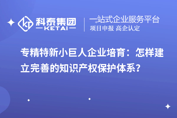 专精特新小巨人企业培育:怎样建立完善的知识产权保护体系?