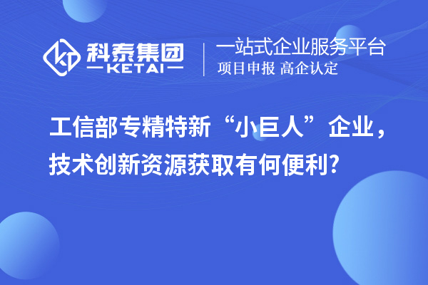 工信部专精特新 “小巨人” 企业,技术创新资源获取有何便利?
