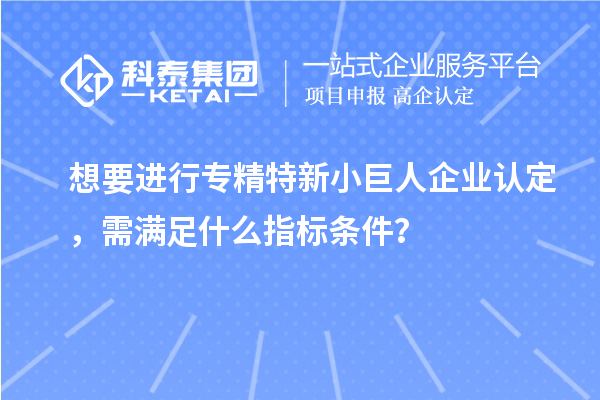 想要进行专精特新小巨人企业认定,需满足什么指标条件?
