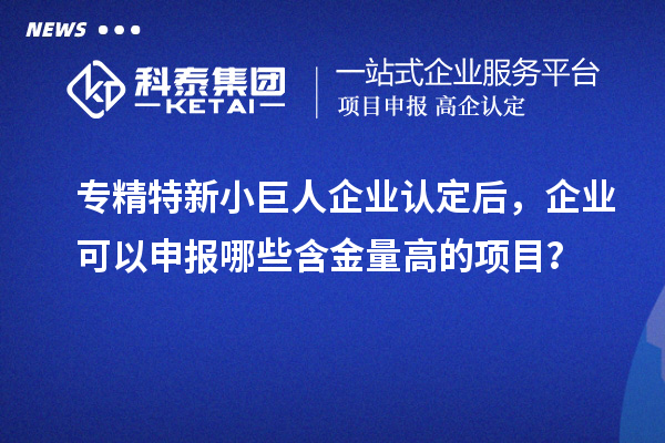 专精特新小巨人企业认定后,企业可以申报哪些含金量高的项目?