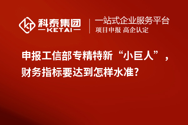 申报工信部专精特新 “小巨人”,财务指标要达到怎样水准?