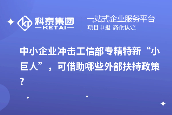 中小企业冲击工信部专精特新 “小巨人”,可借助哪些外部扶持政策?