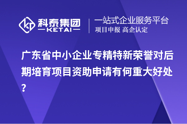广东省中小企业专精特新荣誉对后期培育项目资助申请有何重大好处?
