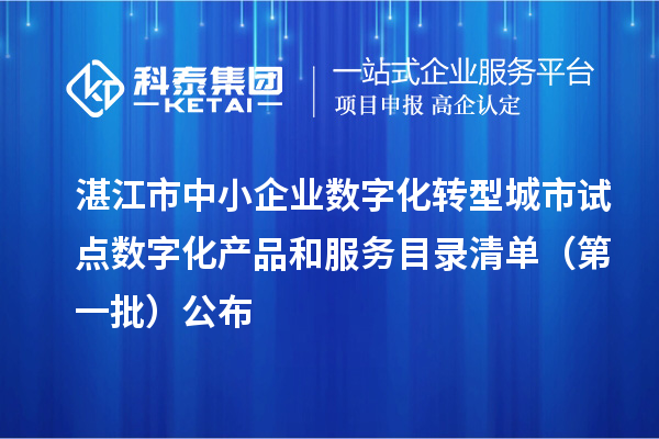 湛江市中小企业数字化转型城市试点数字化产品和服务目录清单(第一批)公布
