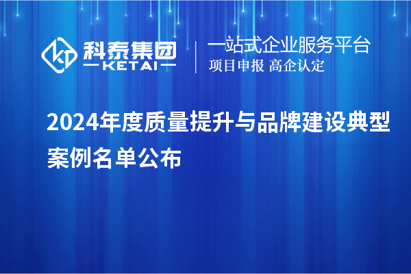 2024年度质量提升与品牌建设典型案例名单公布