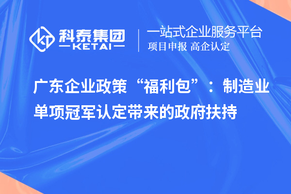 广东企业政策“福利包”:制造业单项冠军认定带来的政府扶持