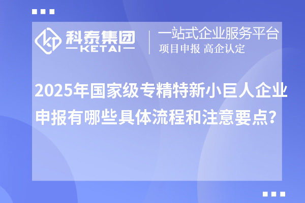 2025年国家级专精特新<a href=//jiuyouhuitech.com/zjtx/ target=_blank class=infotextkey>小巨人企业申报</a>有哪些具体流程和注意要点?