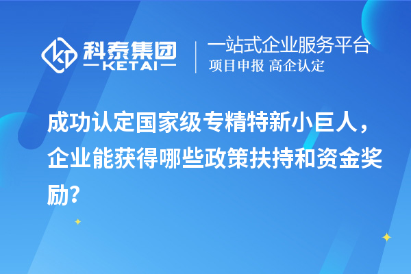 成功认定国家级专精特新小巨人,企业能获得哪些政策扶持和资金奖励?