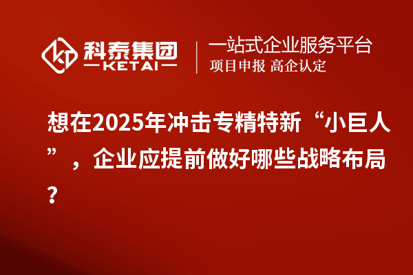 想在2025年冲击专精特新 “小巨人”,企业应提前做好哪些战略布局?