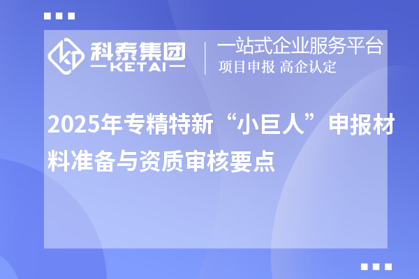 2025年专精特新“小巨人”申报材料准备与资质审核要点