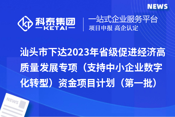 汕头市下达2023年省级促进经济高质量发展专项(支持中小企业数字化转型)资金项目计划(第一批)