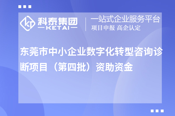 东莞市中小企业数字化转型咨询诊断项目(第四批)资助资金