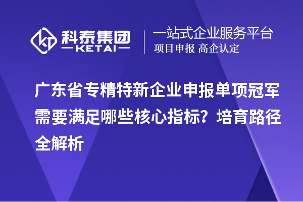 广东省专精特新企业申报单项冠军需要满足哪些核心指标?培育路径全解析