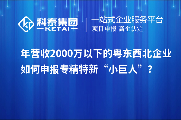 年营收2000万以下的粤东西北企业如何申报专精特新“小巨人”?