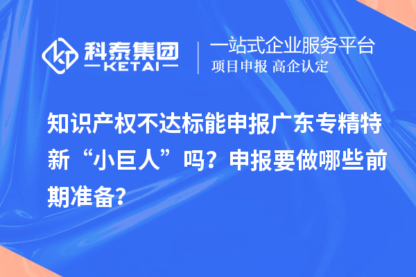 知识产权不达标能申报广东专精特新“小巨人”吗?申报要做哪些前期准备?