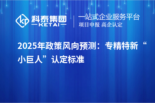 2025年政策风向预测:专精特新“小巨人”认定标准