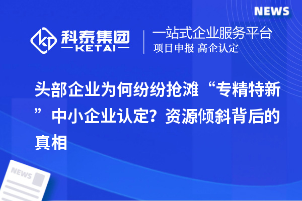 头部企业为何纷纷抢滩“专精特新”中小企业认定?资源倾斜背后的真相