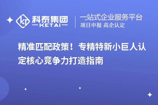 精准匹配政策!专精特新小巨人认定核心竞争力打造指南