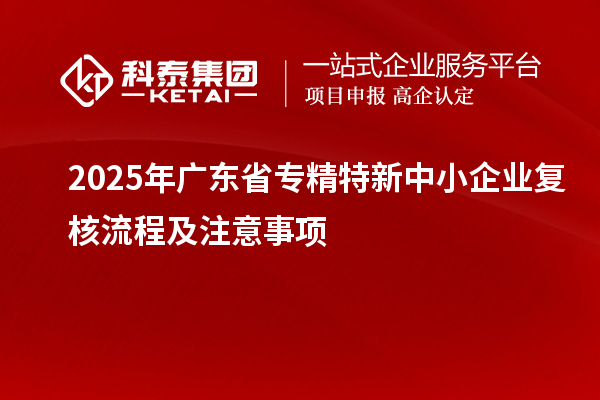 2025年广东省专精特新中小企业复核流程及注意事项