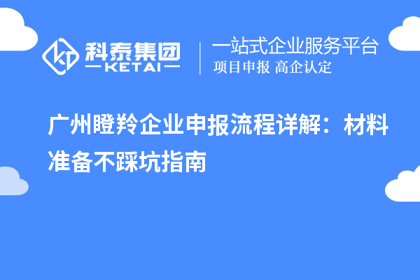 广州瞪羚企业申报流程详解:材料准备不踩坑指南