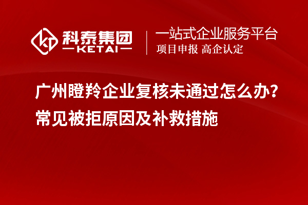 广州瞪羚企业复核未通过怎么办?常见被拒原因及补救措施